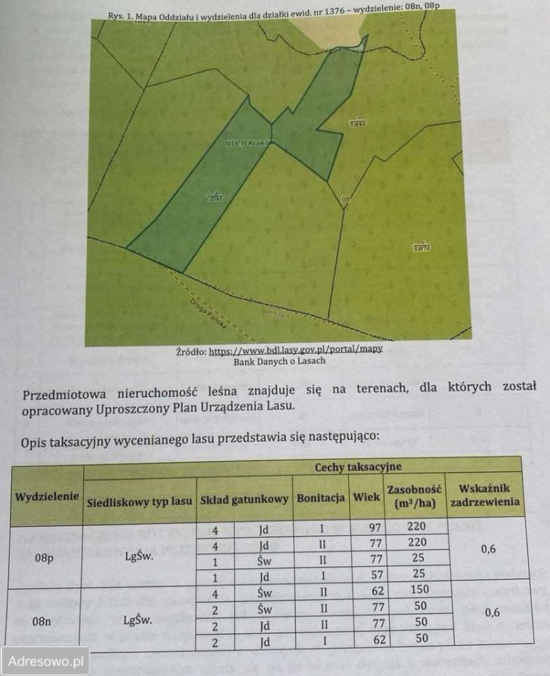 Działka leśna Gruszowiec. Zdjęcie 5