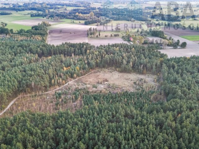 Działka rolna Myślibórz. Zdjęcie 5