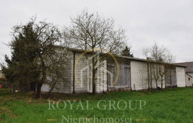 Działka budowlana Czerwonka-Gozdów. Zdjęcie 2