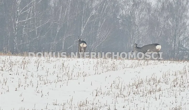 Działka budowlana Rozworzyn