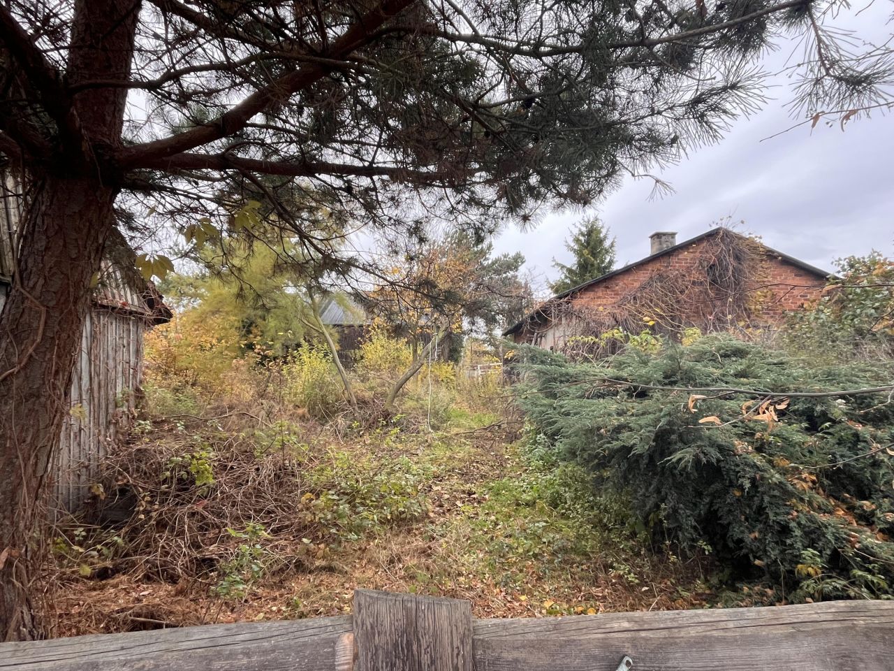 Działka rolno-budowlana Próchna. Zdjęcie 13