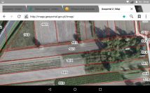 Działka siedliskowa Janów. Zdjęcie 1