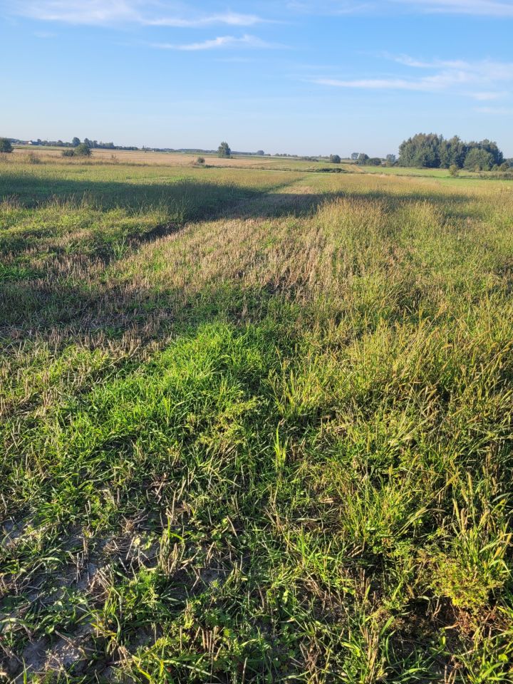 Działka rolna Stary Kobylnik. Zdjęcie 3