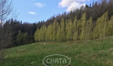 Działka rolna Michałkowa