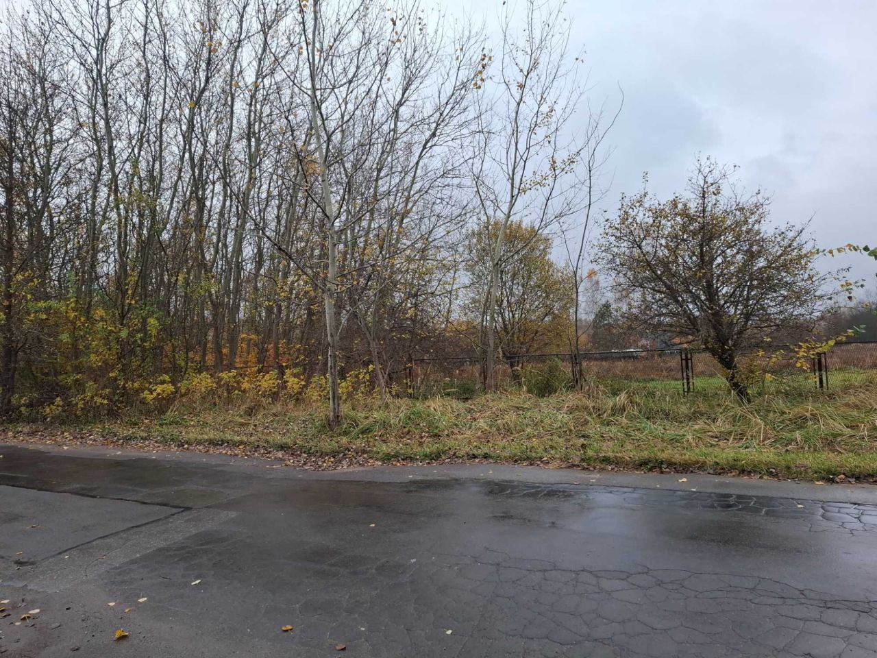 Działka budowlana Starachowice, ul. Pastwiska. Zdjęcie 6