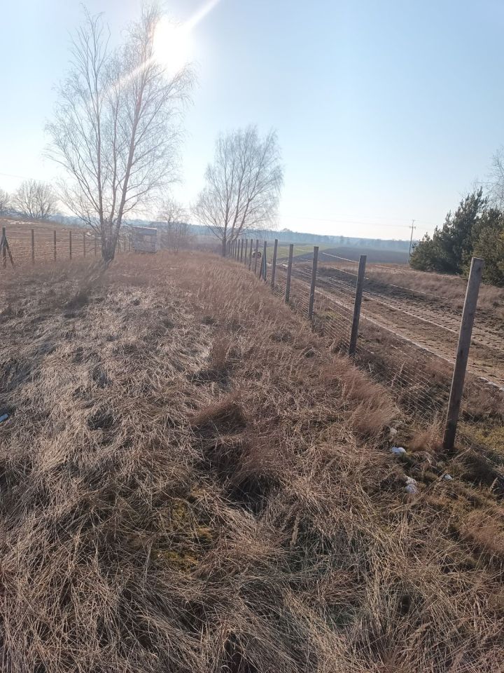 Działka budowlana Kwileń. Zdjęcie 2