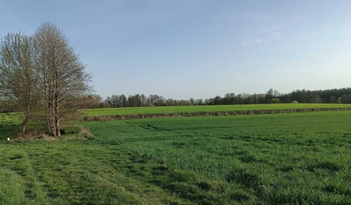 Działka budowlana Dobierzyn