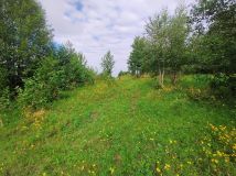 Działka rolna Stare Bolity. Zdjęcie 1