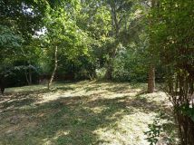 Działka budowlana Stary Majdan. Zdjęcie 3