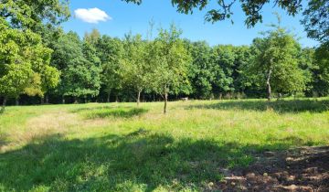 Działka rolno-budowlana Chorągwica