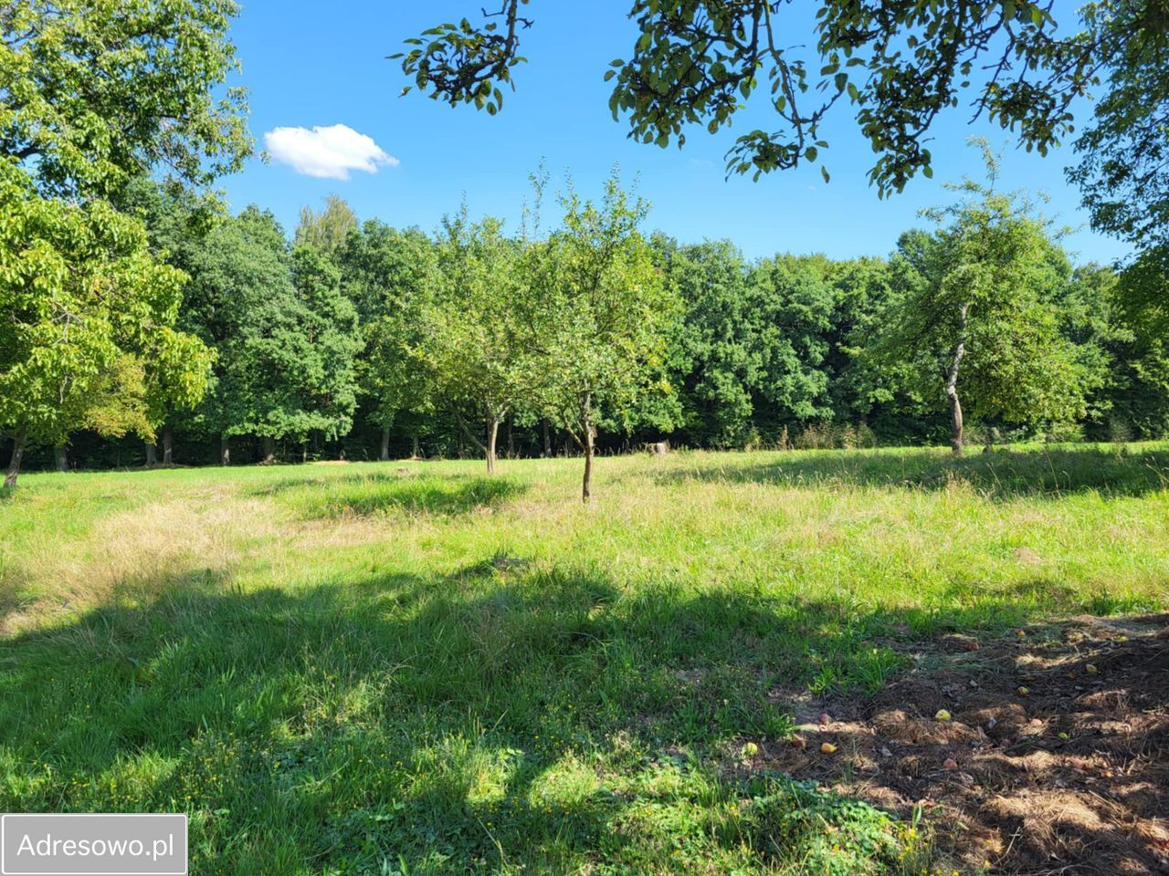 Działka rolno-budowlana Chorągwica. Zdjęcie 2