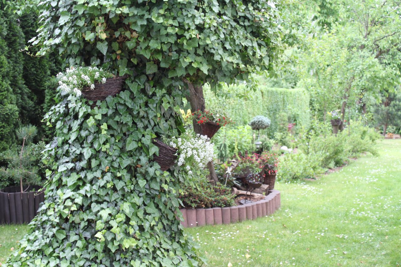 Działka budowlana Trojanowice, ul. Wąwozowa. Zdjęcie 13