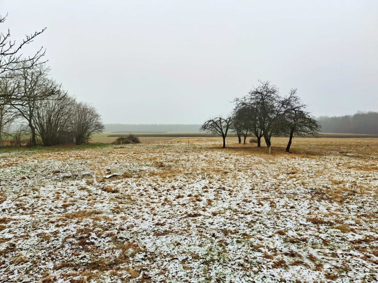 Działka budowlana Zaborze. Zdjęcie 3