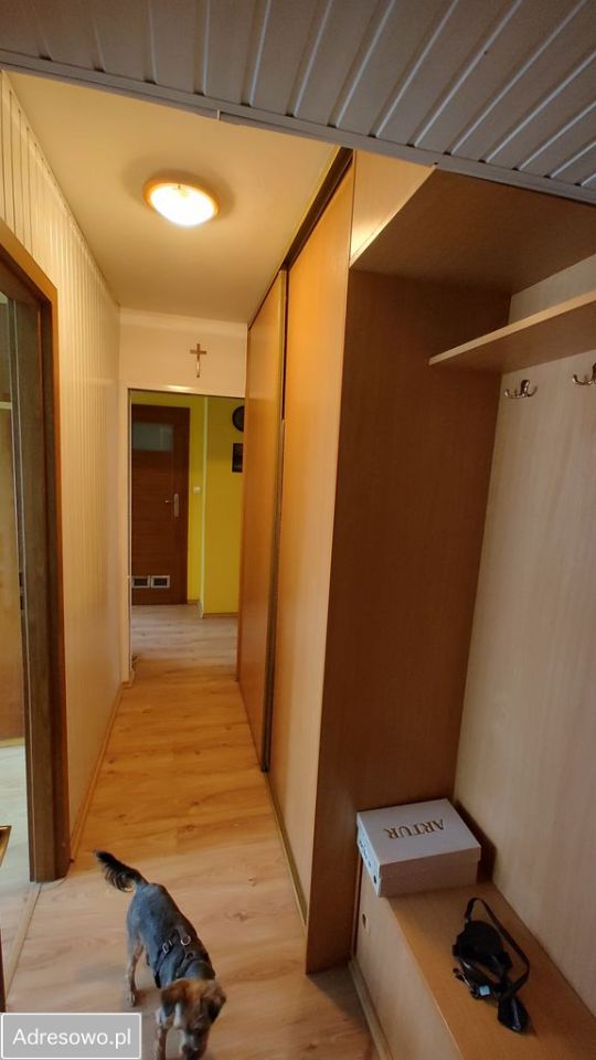 Mieszkanie 2-pokojowe Częstochowa Tysiąclecie, ul. Michałowicza. Zdjęcie 11