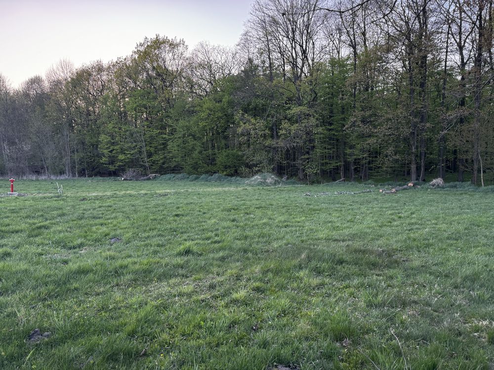 Działka rolno-budowlana Budy Barcząckie. Zdjęcie 6