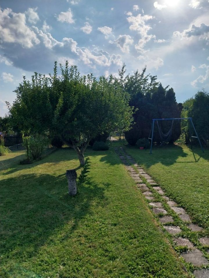 Działka rod Knurów Szczygłowice. Zdjęcie 5