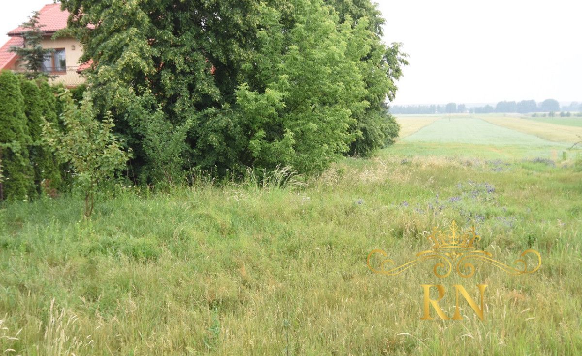 Działka budowlana Ostrówek Kolonia. Zdjęcie 2