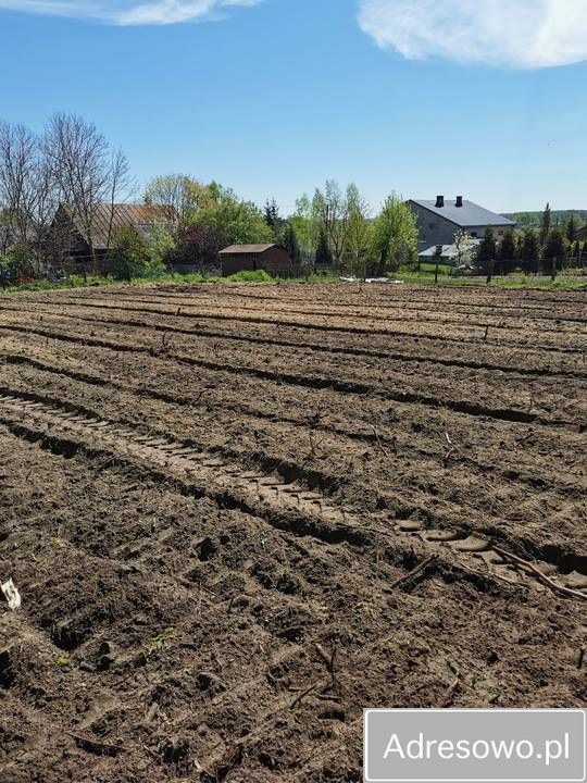 Działka budowlana Czuchów. Zdjęcie 2