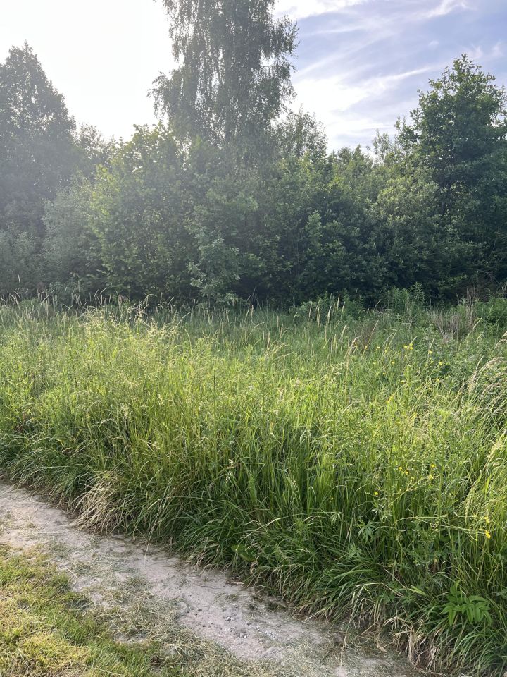 Działka budowlana Starachowice Górniki, ul. Kielecka. Zdjęcie 2