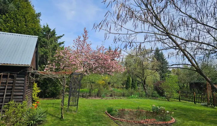 Działka rod Brzezie, ul. Działkowa