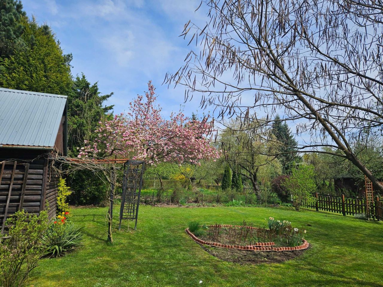 Działka rod Brzezie, ul. Działkowa. Zdjęcie 1