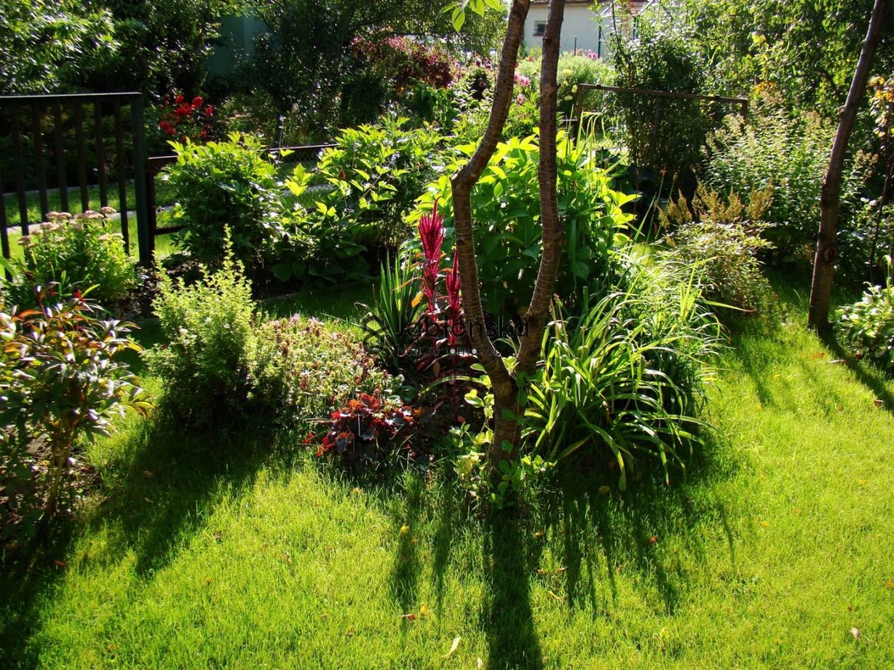 Działka rekreacyjna Bydgoszcz. Zdjęcie 3