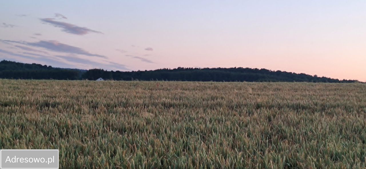 Działka budowlana Przemyśl, ul. Złota. Zdjęcie 2