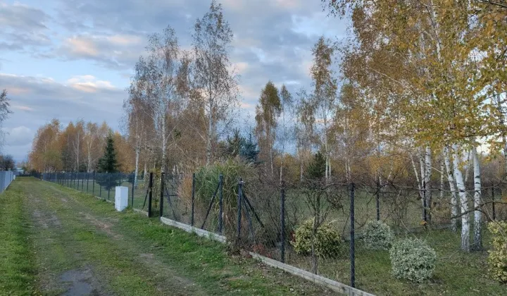 Działka Jedlińsk Piaski, ul. Jaśminowa