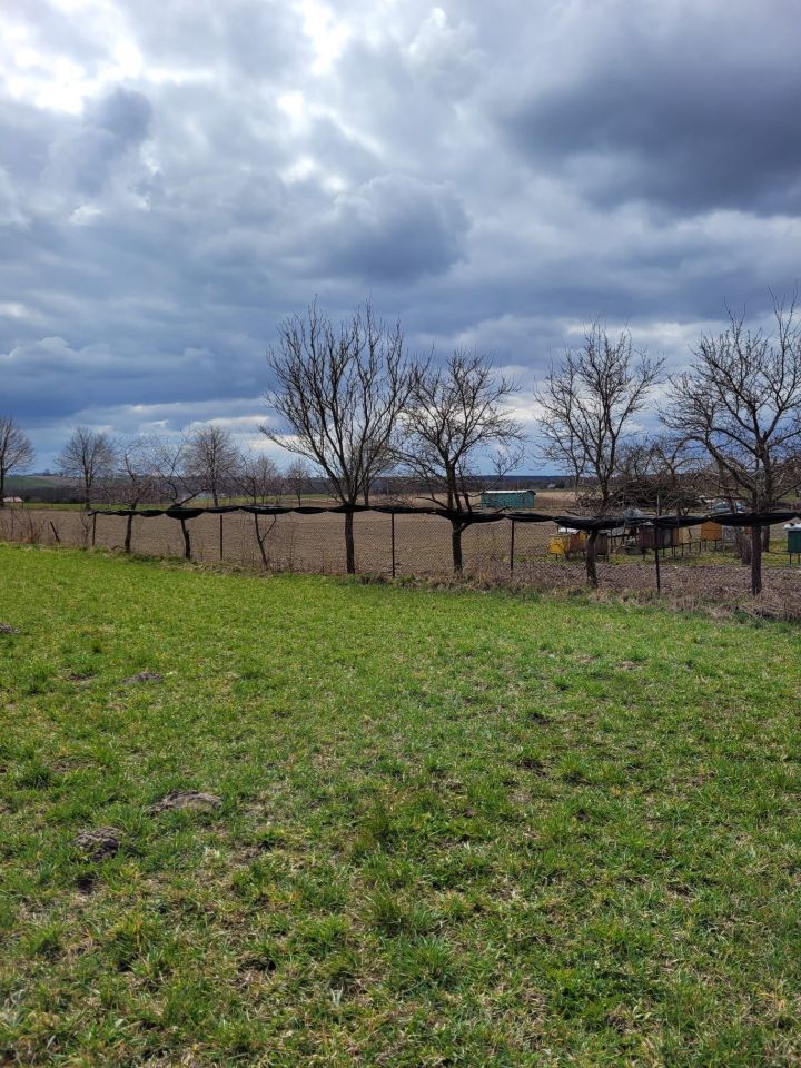 Działka budowlana Skarlin. Zdjęcie 2