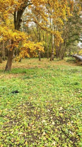 Działka rekreacyjna Nowe Czarnowo. Zdjęcie 1