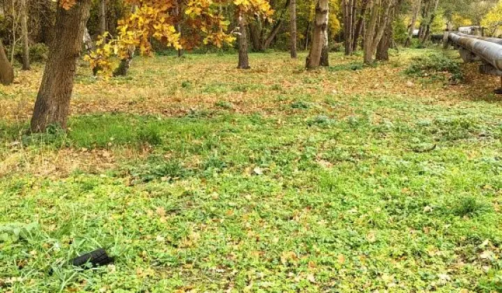 Działka rekreacyjna Nowe Czarnowo