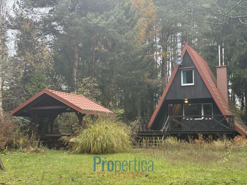 dom wolnostojący, 3 pokoje Natać Wielka. Zdjęcie 13