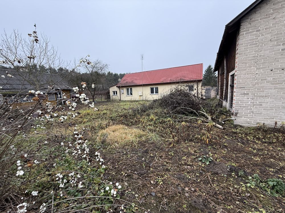 gospodarstwo Karczmiska Pierwsze. Zdjęcie 8