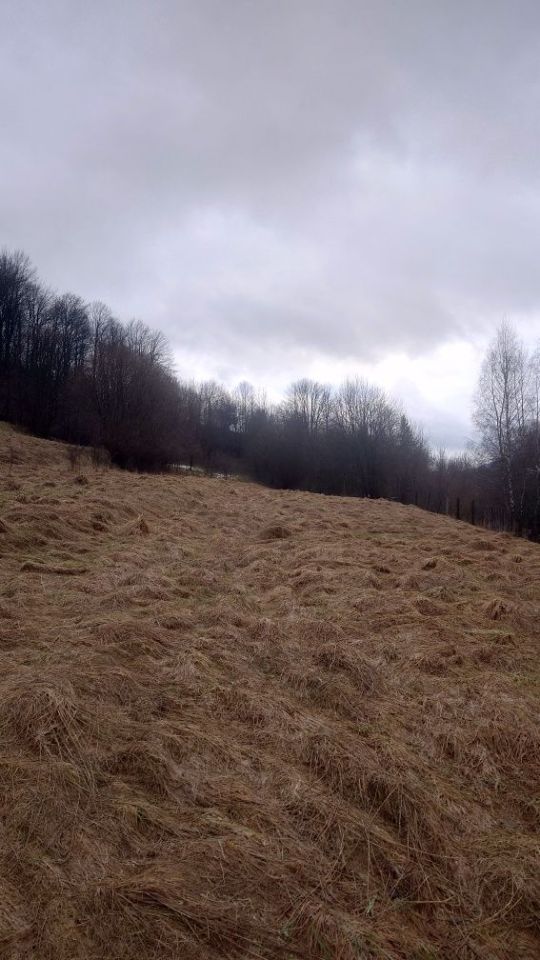 Działka budowlana Mszana Dolna, ul. Grunwaldzka. Zdjęcie 4