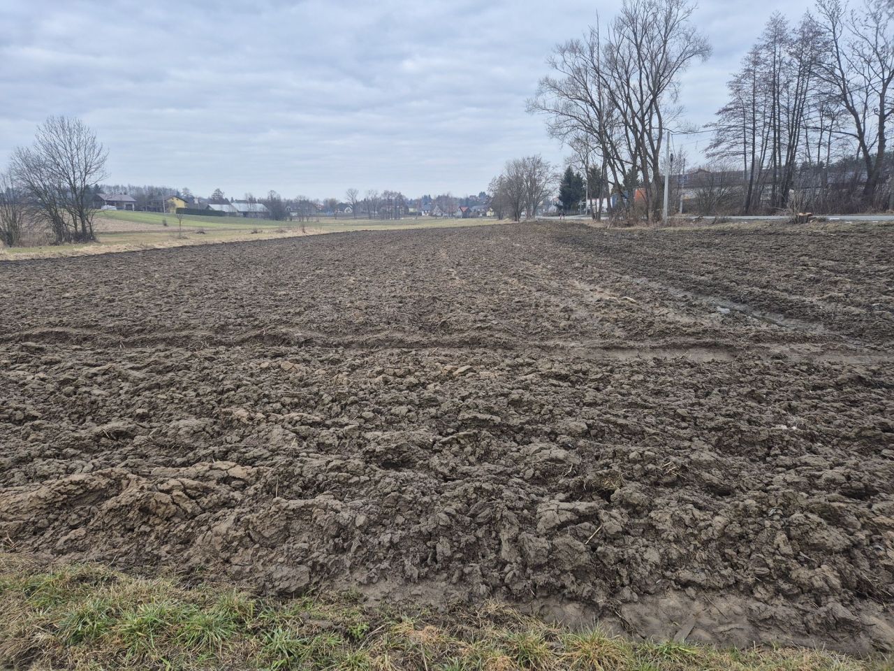 Działka rolna Szczytniki. Zdjęcie 4