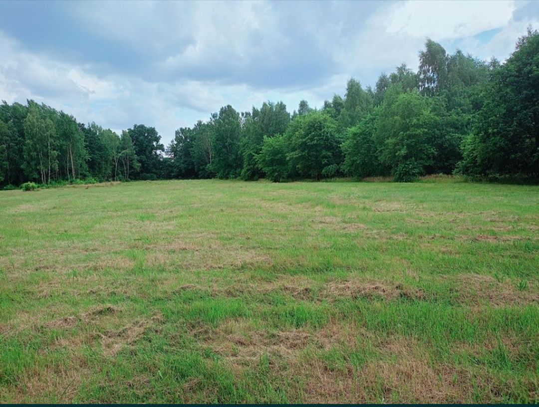 Działka budowlana Wyszebórz. Zdjęcie 2