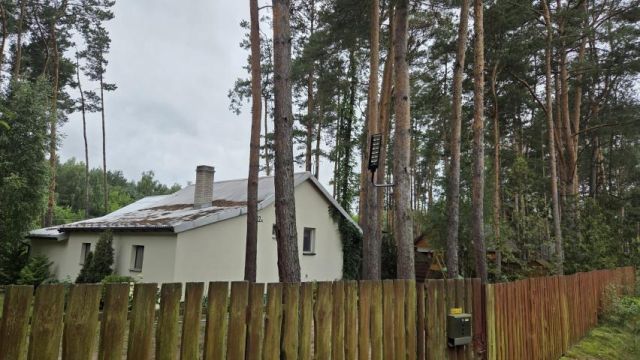 Działka leśna Królewo. Zdjęcie 3