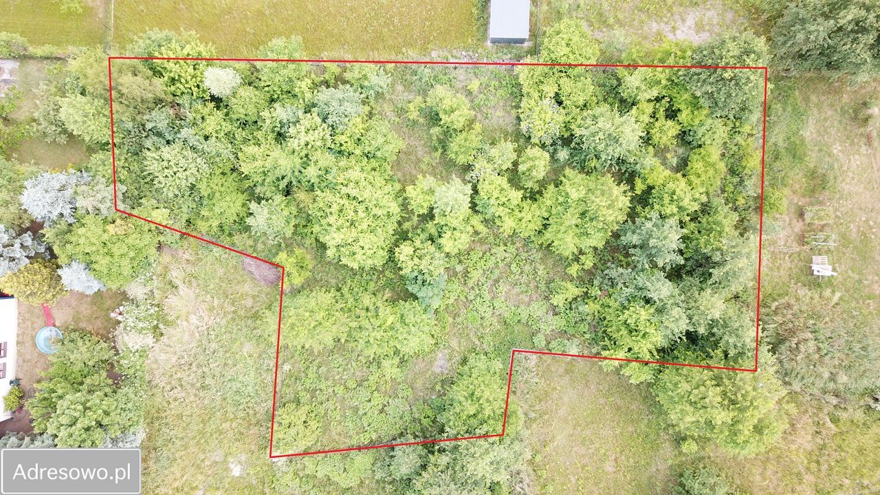 Działka budowlana Wola Zaradzyńska, ul. Leśna. Zdjęcie 5
