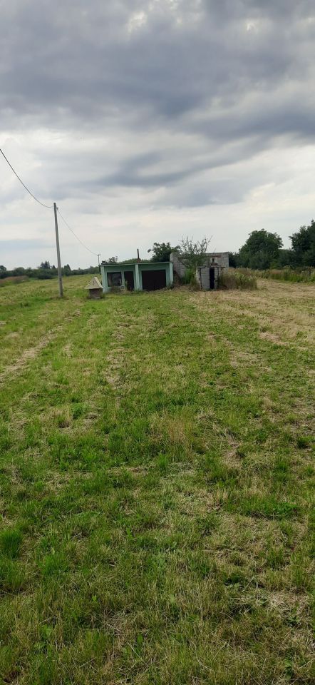 Działka rolno-budowlana Kobierniki. Zdjęcie 2