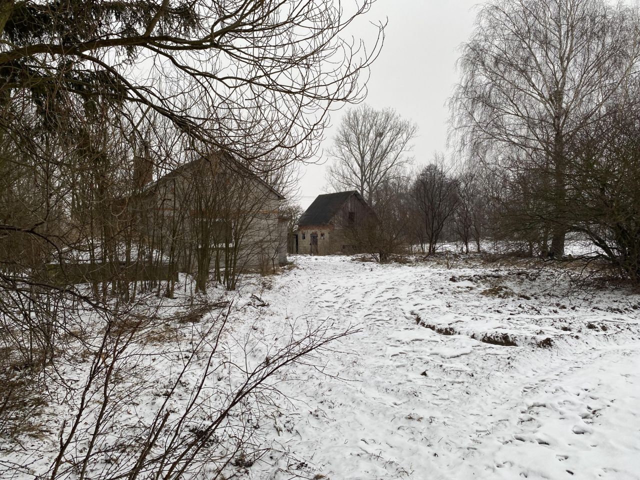 Działka rolno-budowlana Szczawin Borowy-Wieś. Zdjęcie 14