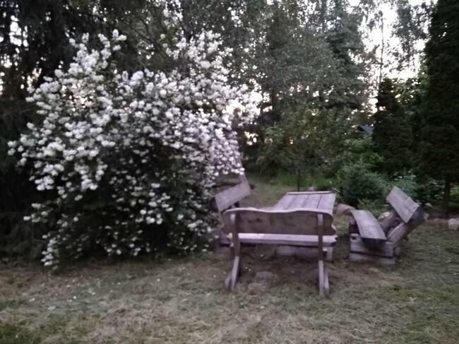 Działka rolno-budowlana Sierzchowy. Zdjęcie 16