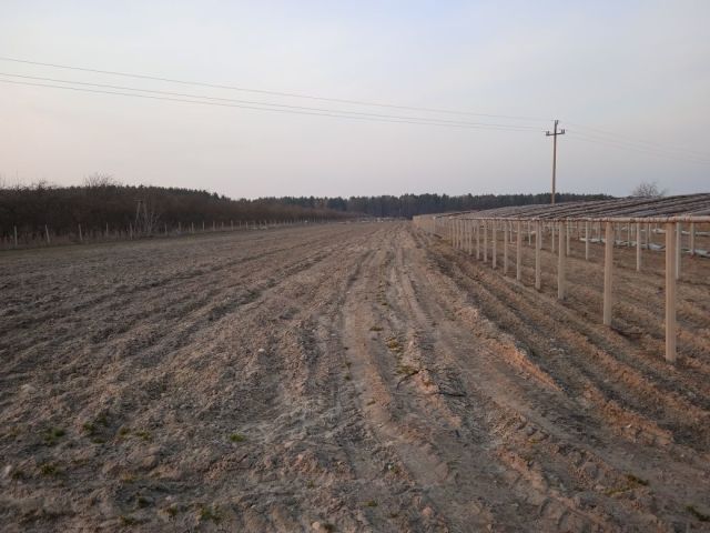 Działka rolna Głuszyna. Zdjęcie 1