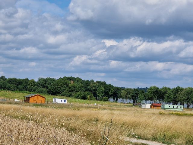Działka rekreacyjna Wierzchowo, ul. Polna. Zdjęcie 1