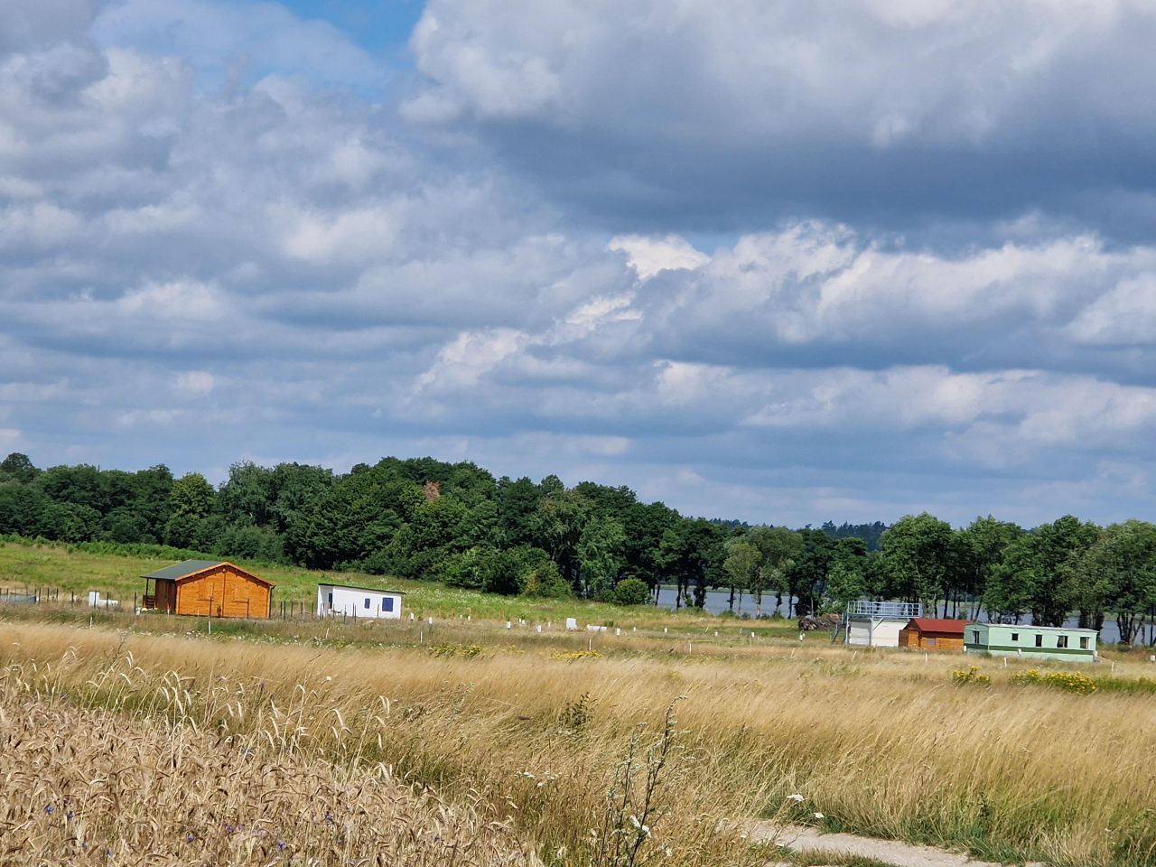 Działka rekreacyjna Wierzchowo, ul. Polna