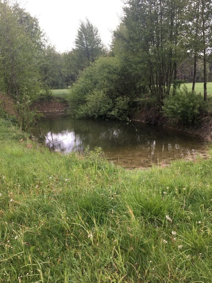 dom wolnostojący Gorzeszyn. Zdjęcie 8