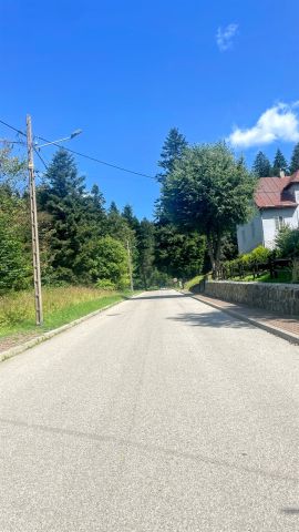 Działka inwestycyjna Krynica-Zdrój. Zdjęcie 10
