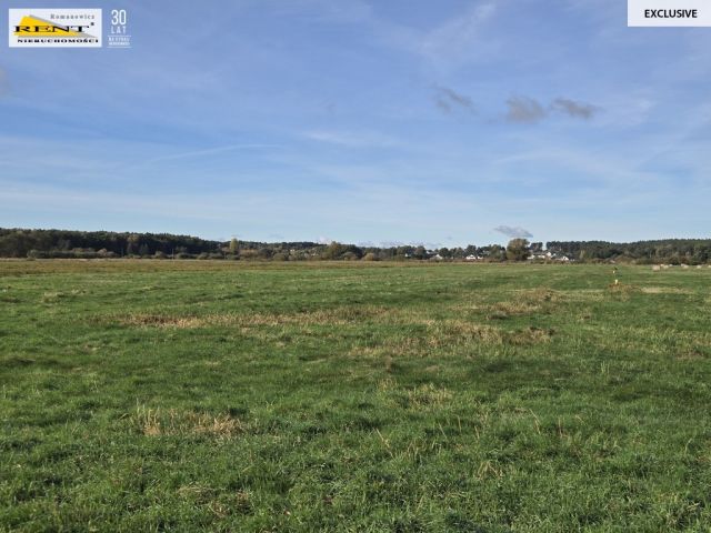 Działka rolna Dobra, ul. Dereszowa. Zdjęcie 10