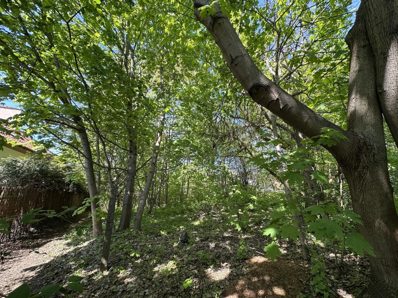 Działka budowlana Łódź Doły, Drwęcka. Zdjęcie 6