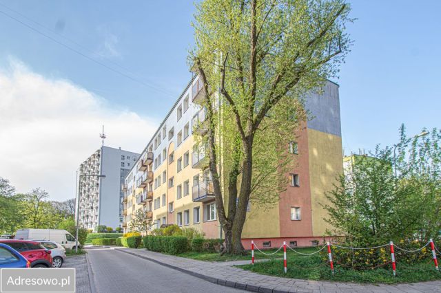 Mieszkanie 3-pokojowe Zielona Góra Centrum. Zdjęcie 1