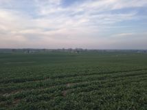 Działka budowlana Lubiszewo Tczewskie. Zdjęcie 4